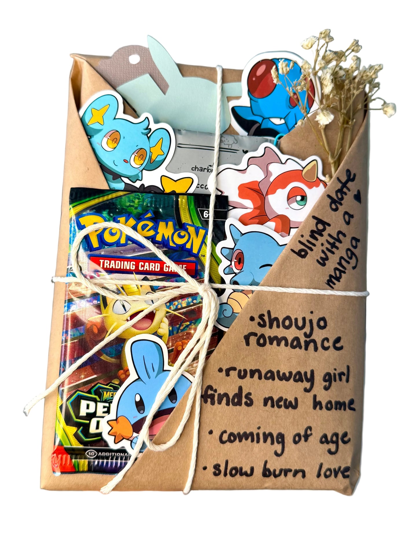 blind date with a SHOUJO ROMANCE manga & Pokemon gift bundle ⋆˚꩜。
