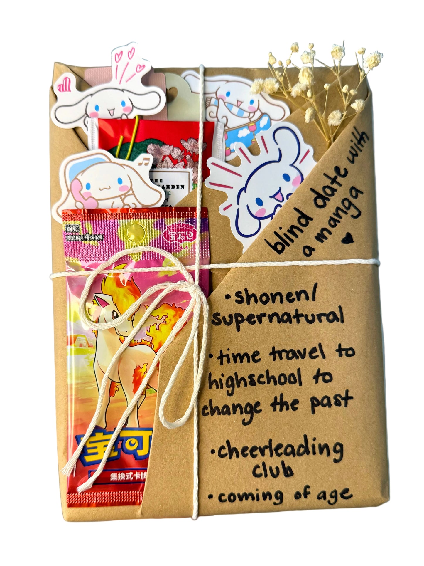 blind date with a SHONEN/SUPERNATURAL manga & Pokemon gift bundle ⋆˚꩜。