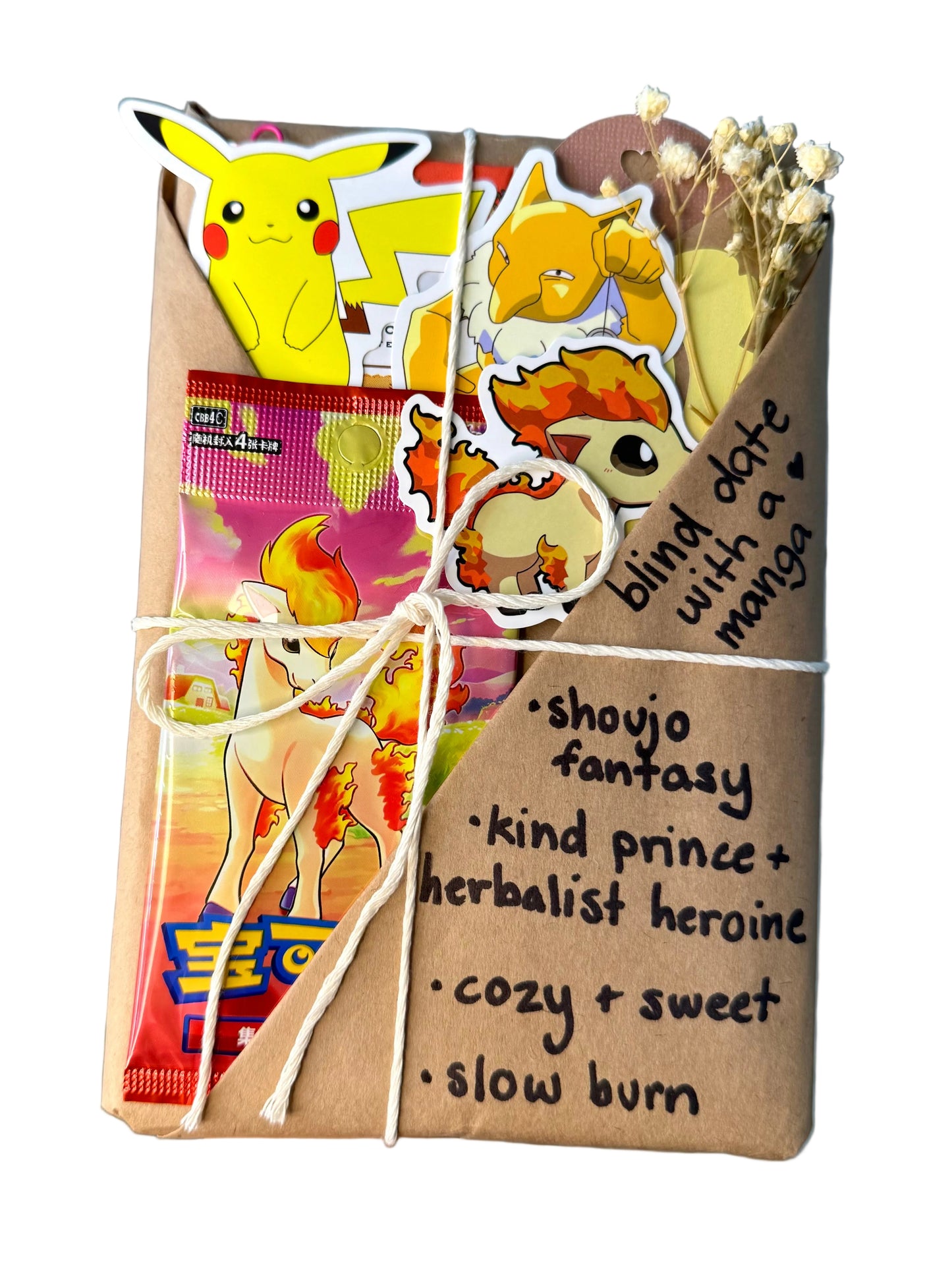 blind date with a SHOUJO FANTASY manga & Pokemon gift bundle ⋆˚꩜。