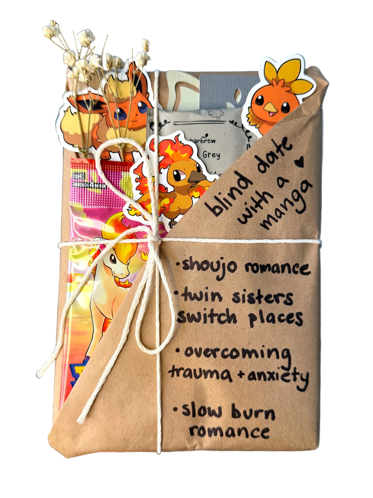 blind date with a SHOUJO ROMANCE manga & Pokemon gift bundle ⋆˚꩜。