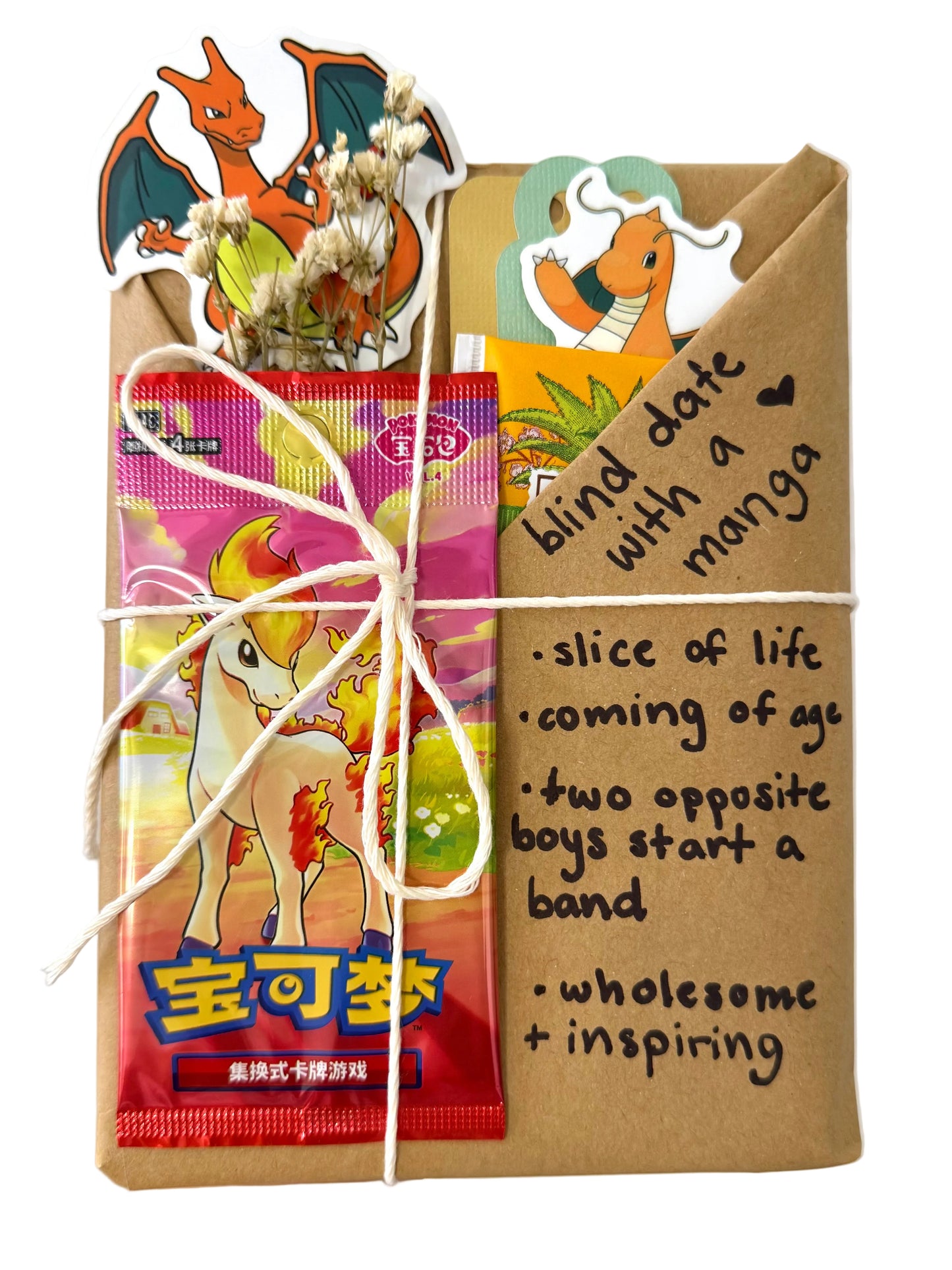 blind date with a SLICE OF LIFE manga & Pokemon gift bundle ⋆˚꩜｡